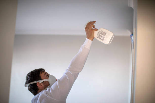 Best Same-Day Mold Removal  in New Sharon, IA