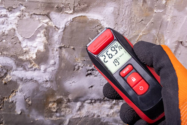 Best Certified Mold Removal  in New Sharon, IA