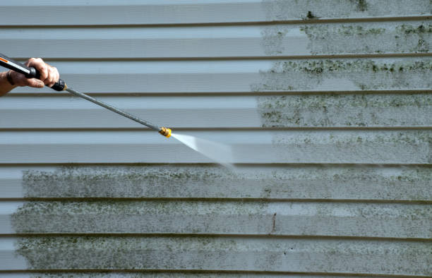 Best Attic Mold Removal  in New Sharon, IA