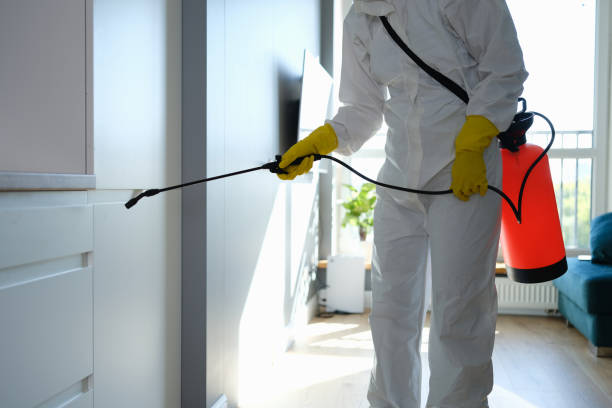 Best Professional Mold Removal  in New Sharon, IA