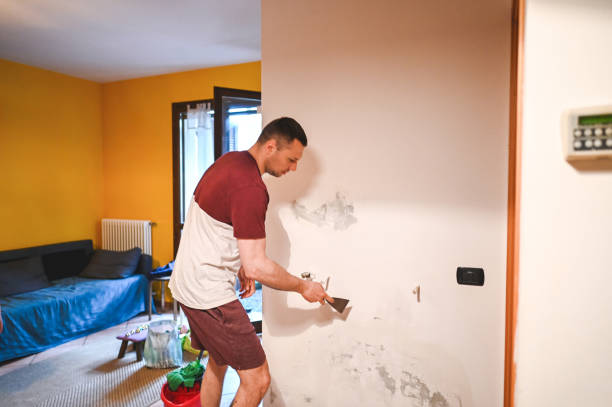 Best Water Damage Restoration  in New Sharon, IA